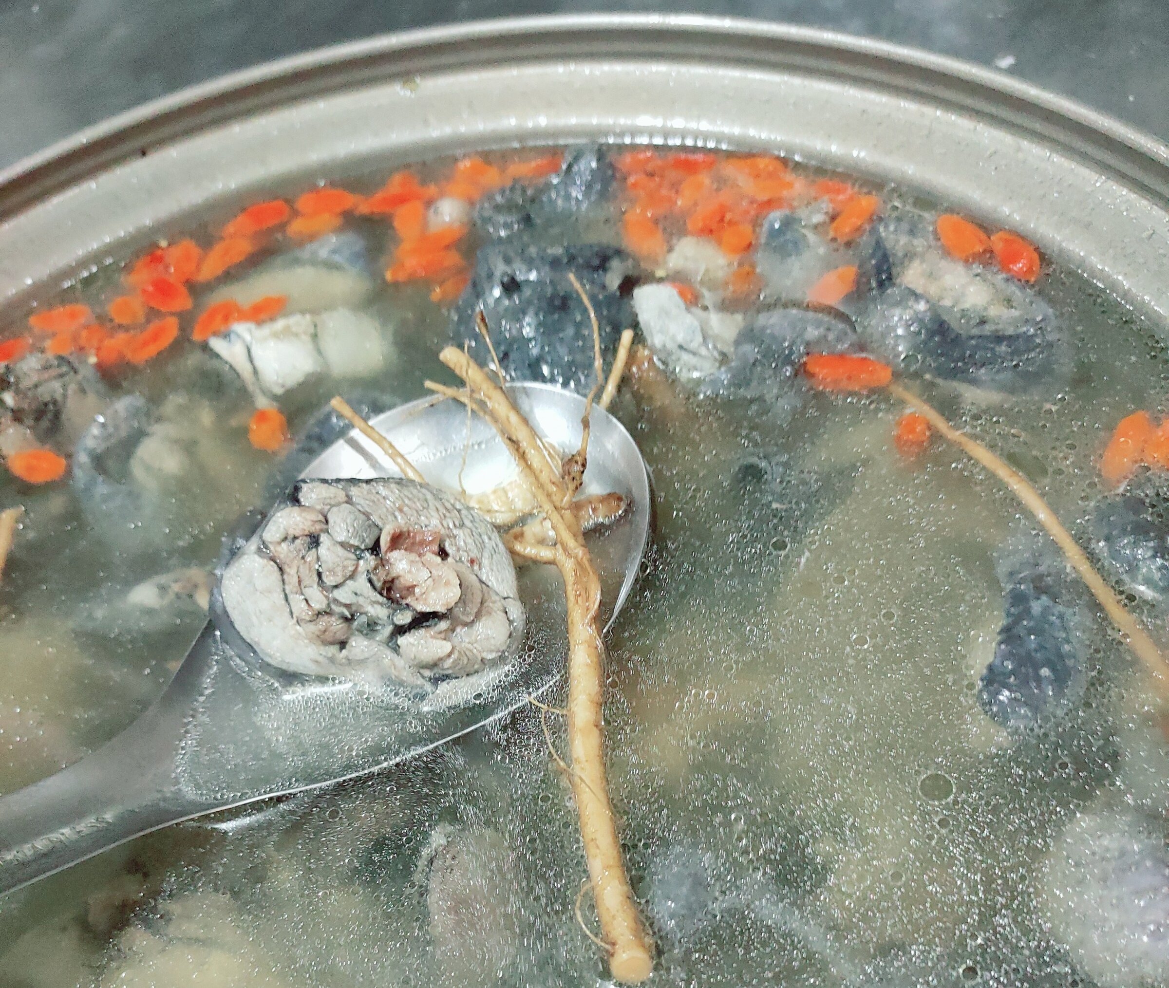 秀花大林狗尾雞王